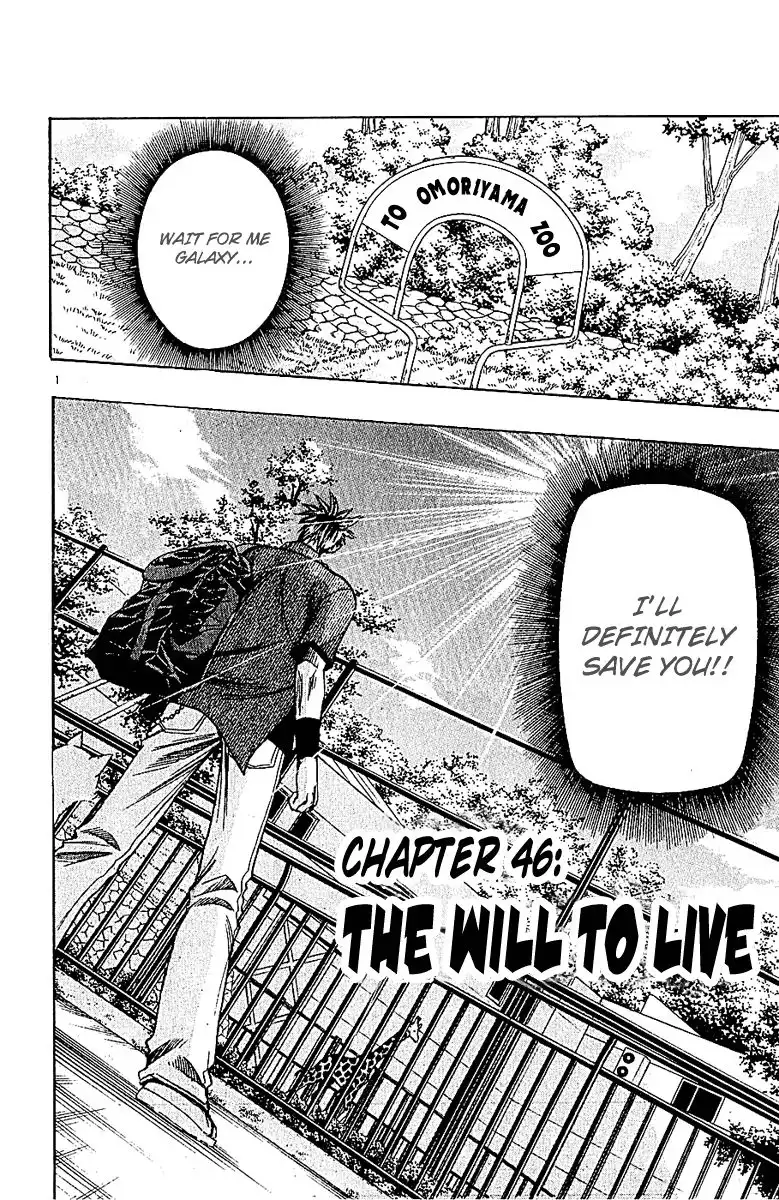 Wild Life Chapter 46 3